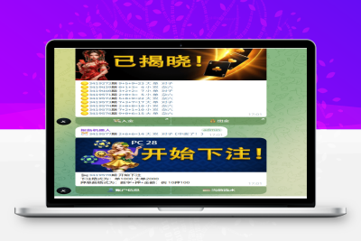 【PC源码】加拿大28机器人源码/带后台/PC28机器人源码/带文本教程